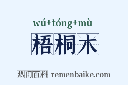 梧桐木是什么意思的图片